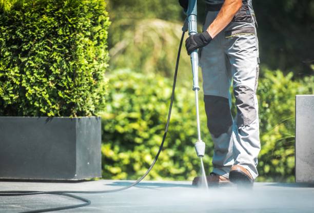 Best Fence Cleaning  in Waverly, NY
